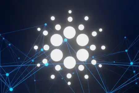 CARDANO: "We are so back!"