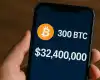 300 Bitcoina stiglo u novčanik Rossa Ulbrichta s AlphaBaya