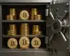 Još jedna kompanija proširuje Bitcoin zalihe